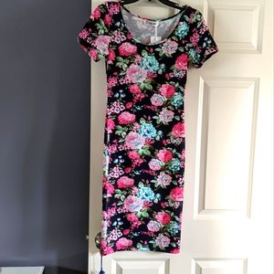 Tam Ware dress, Size 2